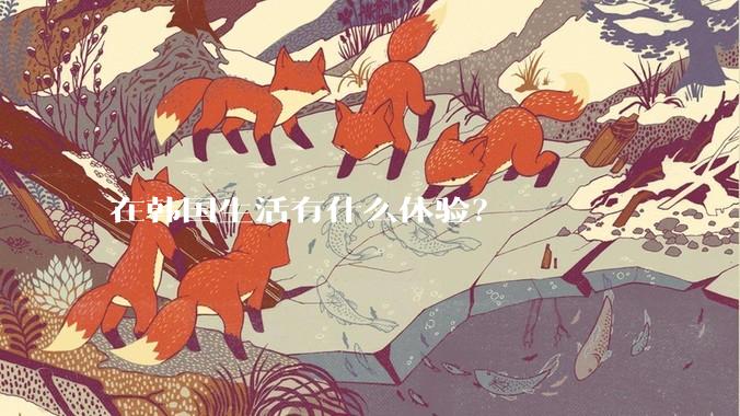 在韩国生活有什么体验？